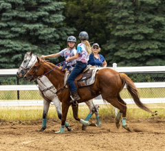 2022-6-26-Sunday-Horse-trial-1056