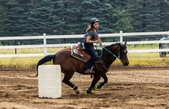 2022-6-26-Sunday-Horse-trial-112