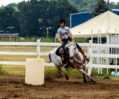 2022-6-26-Sunday-Horse-trial-118