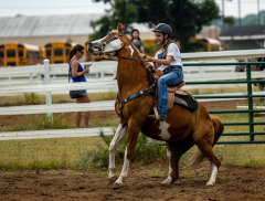 2022-6-26-Sunday-Horse-trial-125