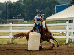 2022-6-26-Sunday-Horse-trial-128