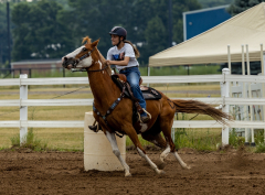 2022-6-26-Sunday-Horse-trial-129