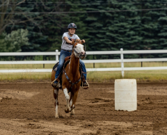 2022-6-26-Sunday-Horse-trial-133