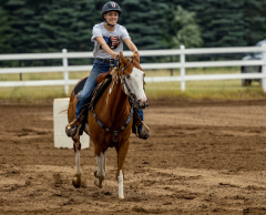 2022-6-26-Sunday-Horse-trial-134
