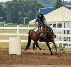 2022-6-26-Sunday-Horse-trial-137