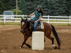 2022-6-26-Sunday-Horse-trial-139