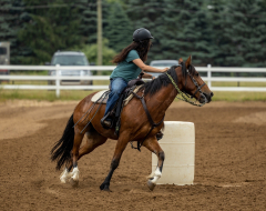 2022-6-26-Sunday-Horse-trial-140