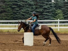 2022-6-26-Sunday-Horse-trial-141