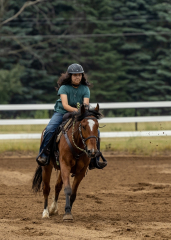 2022-6-26-Sunday-Horse-trial-143