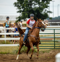 2022-6-26-Sunday-Horse-trial-146