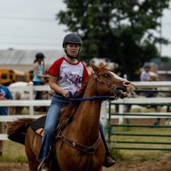 2022-6-26-Sunday-Horse-trial-147