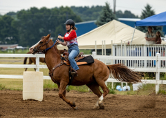 2022-6-26-Sunday-Horse-trial-149