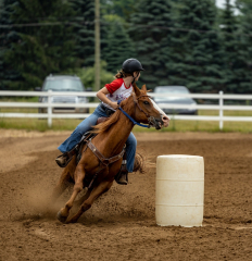 2022-6-26-Sunday-Horse-trial-150