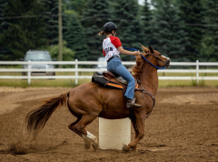 2022-6-26-Sunday-Horse-trial-151