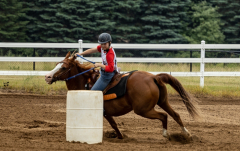 2022-6-26-Sunday-Horse-trial-152