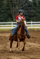 2022-6-26-Sunday-Horse-trial-156