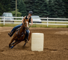 2022-6-26-Sunday-Horse-trial-159