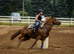 2022-6-26-Sunday-Horse-trial-160