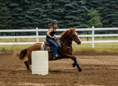 2022-6-26-Sunday-Horse-trial-164