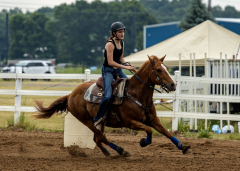 2022-6-26-Sunday-Horse-trial-167