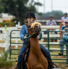2022-6-26-Sunday-Horse-trial-170