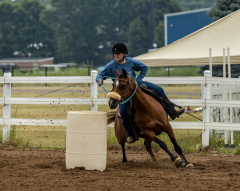 2022-6-26-Sunday-Horse-trial-171