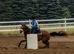 2022-6-26-Sunday-Horse-trial-175