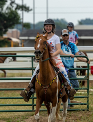 2022-6-26-Sunday-Horse-trial-181