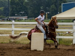 2022-6-26-Sunday-Horse-trial-185