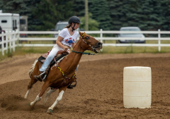 2022-6-26-Sunday-Horse-trial-188