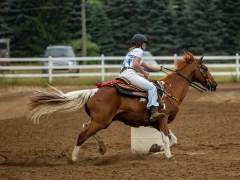 2022-6-26-Sunday-Horse-trial-189