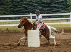 2022-6-26-Sunday-Horse-trial-191