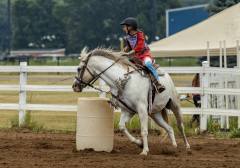 2022-6-26-Sunday-Horse-trial-203