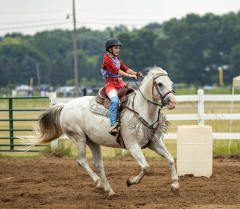 2022-6-26-Sunday-Horse-trial-208