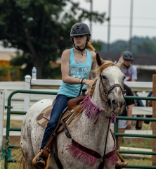 2022-6-26-Sunday-Horse-trial-209