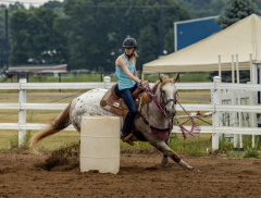 2022-6-26-Sunday-Horse-trial-213