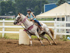 2022-6-26-Sunday-Horse-trial-214