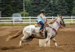 2022-6-26-Sunday-Horse-trial-216