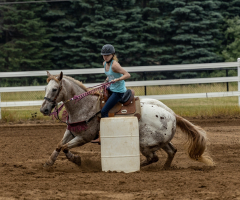 2022-6-26-Sunday-Horse-trial-217