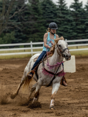 2022-6-26-Sunday-Horse-trial-221