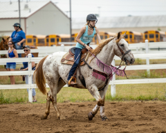 2022-6-26-Sunday-Horse-trial-222