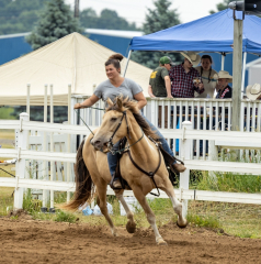 2022-6-26-Sunday-Horse-trial-226