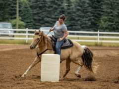 2022-6-26-Sunday-Horse-trial-227