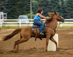 2022-6-26-Sunday-Horse-trial-243