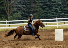 2022-6-26-Sunday-Horse-trial-252