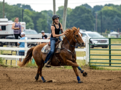 2022-6-26-Sunday-Horse-trial-255