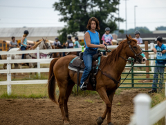 2022-6-26-Sunday-Horse-trial-257