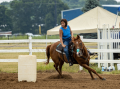 2022-6-26-Sunday-Horse-trial-258