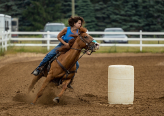 2022-6-26-Sunday-Horse-trial-260