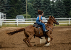 2022-6-26-Sunday-Horse-trial-261